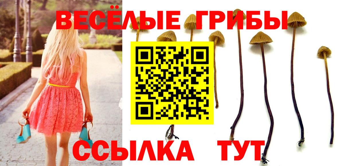 Галлюциногенные грибы MAGIC MUSHROOMS Серпухов